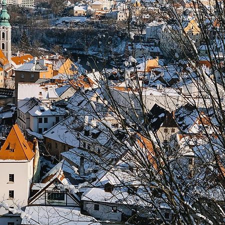 Konekt Apartment Cesky Krumlov Bagian luar foto